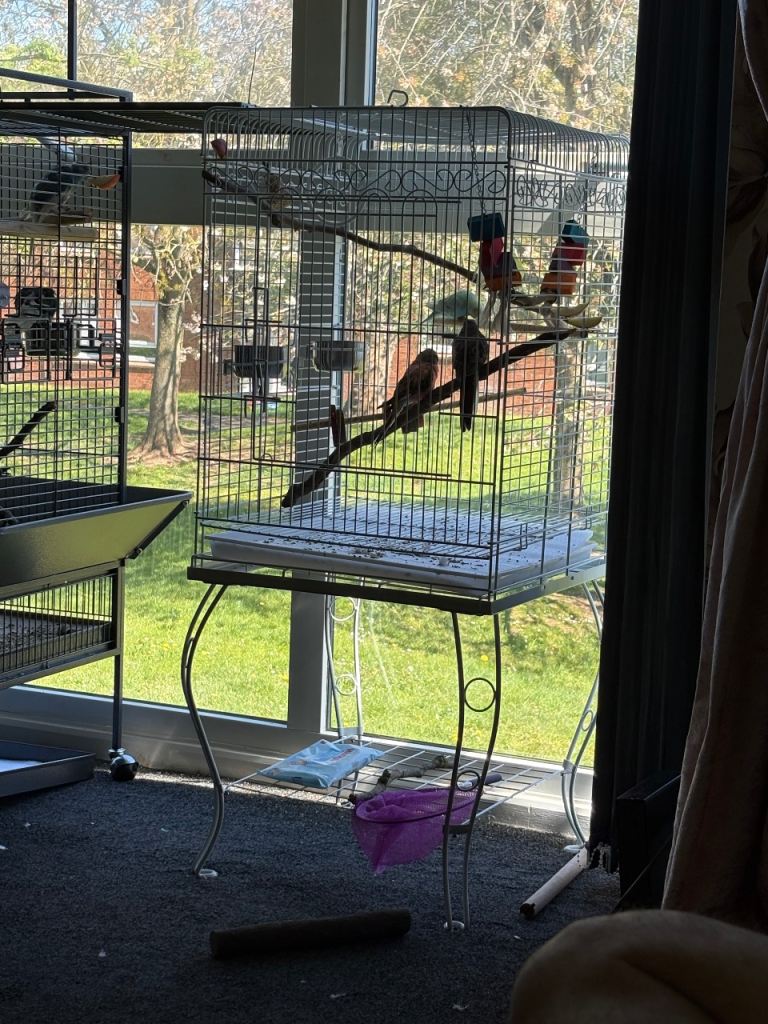 Metal Bird Cage with Stand – Good Condition
