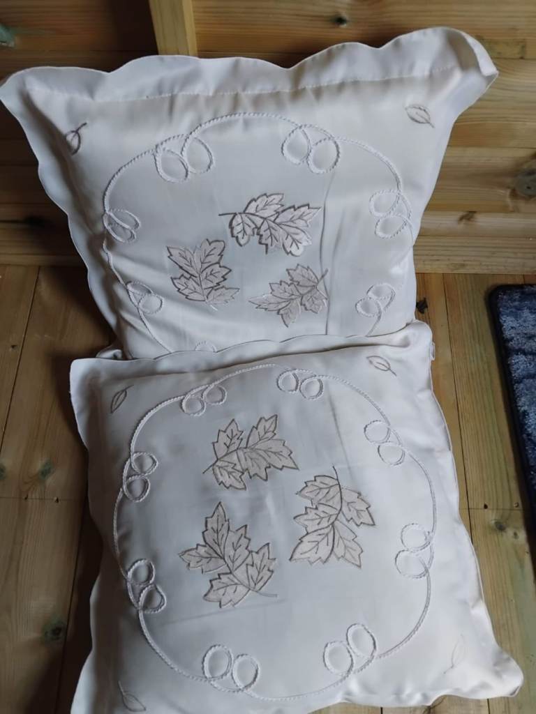 2x Cushions  - £3 for both