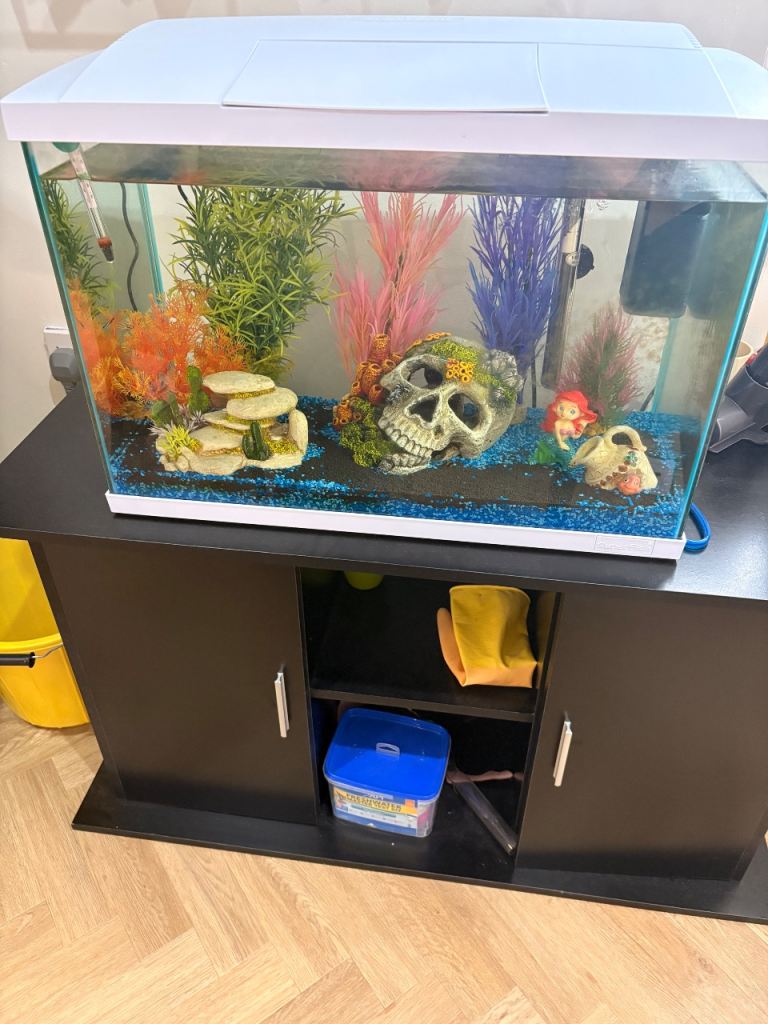 Fish tank and accessories 