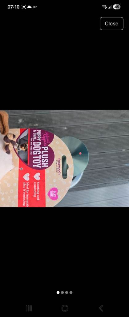 Brilliant and brand new plush dog toy (in great conditon)