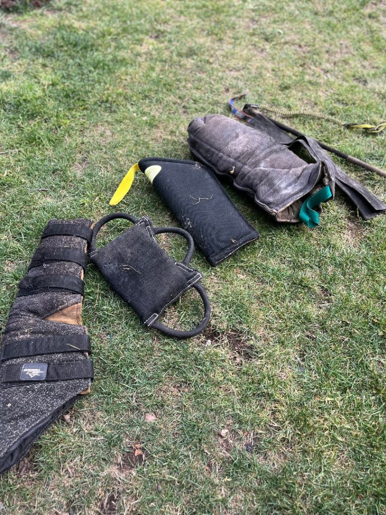 Dog training equipment 