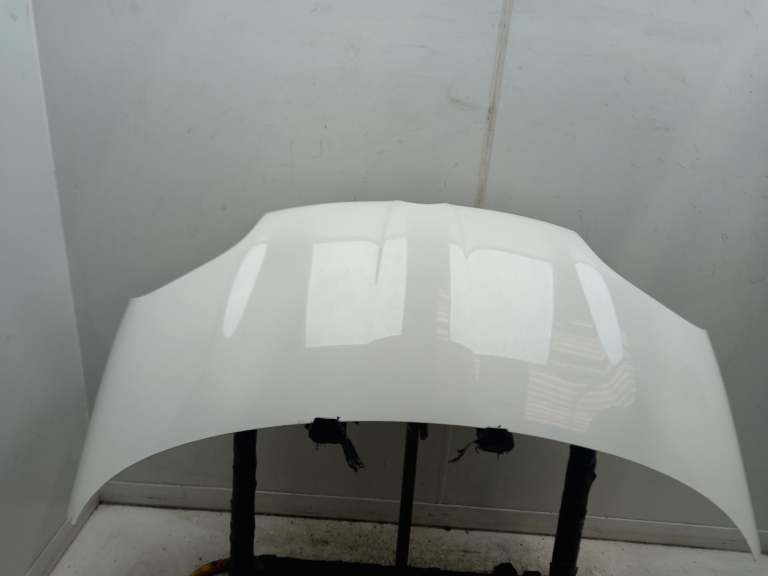 Fiat Panda Bonnet 6