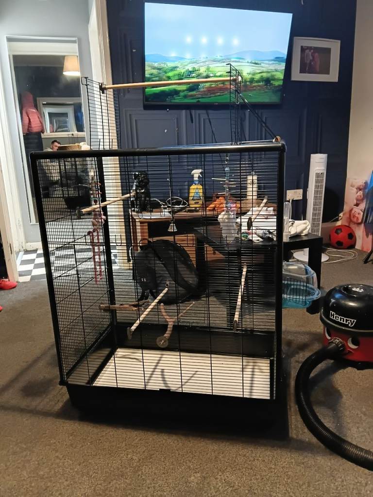 Large bird cage