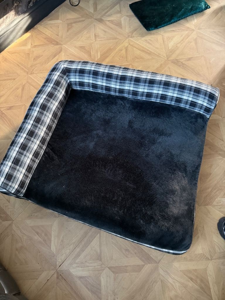 Xl dog bed 