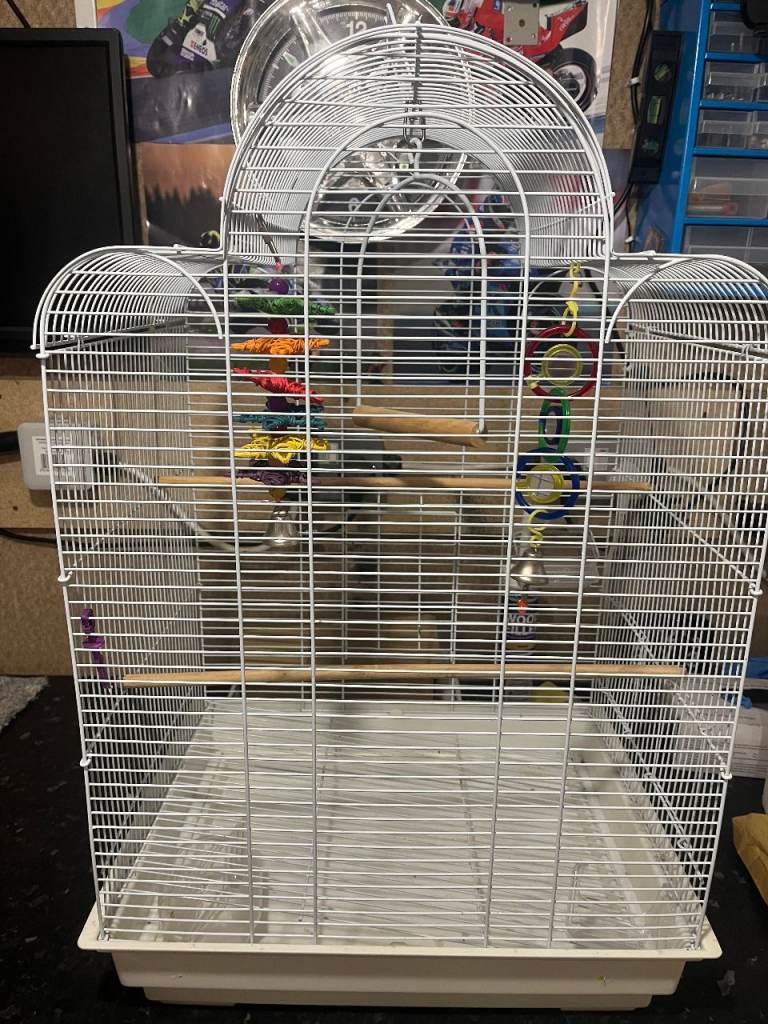 Budgie / Bird Cage