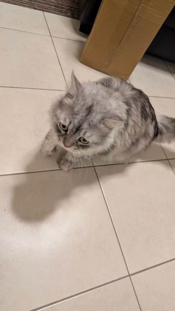 Persian
