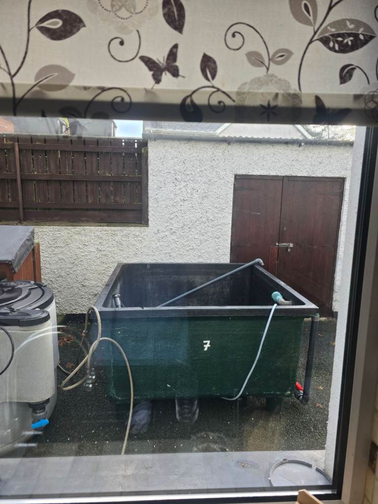 Fish pond and pumps and filter