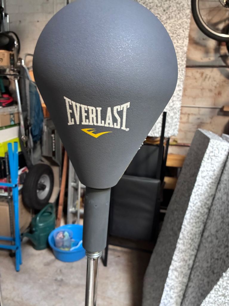 Everlast punch bag ball junior