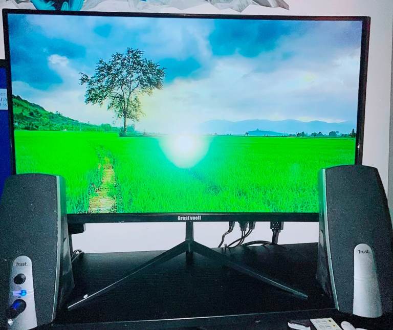 Monitor with Speakers 