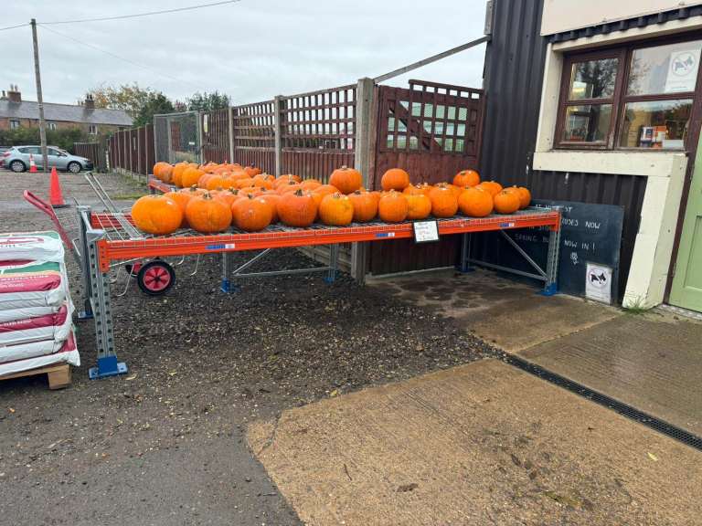 Garden Centre Greenhouse Workbench Growing Potting Planting Staging Bench Table