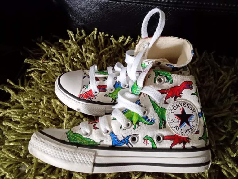 BRAND NEW DINOSAUR CONVERSE HIGH TOPS(REDUCED PRICE)