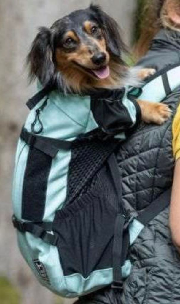 K9 Air 2 Sport dog backpack