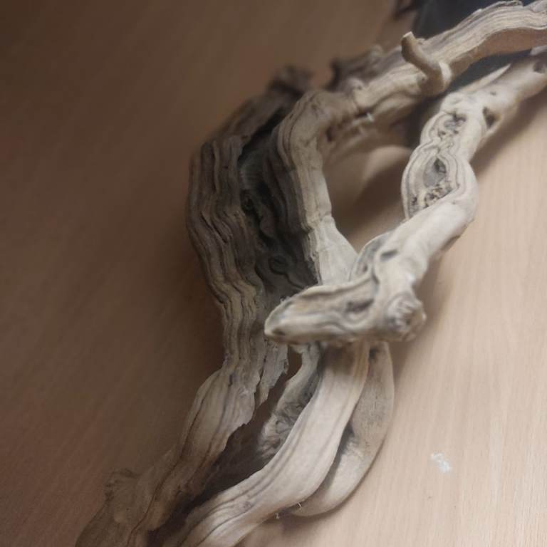 4ft Vivarium with accessories