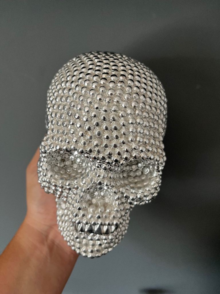 Silver skull head 💀 