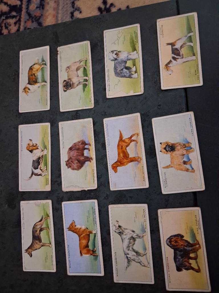 W D & H O Wills cigarette cards  - Dogs