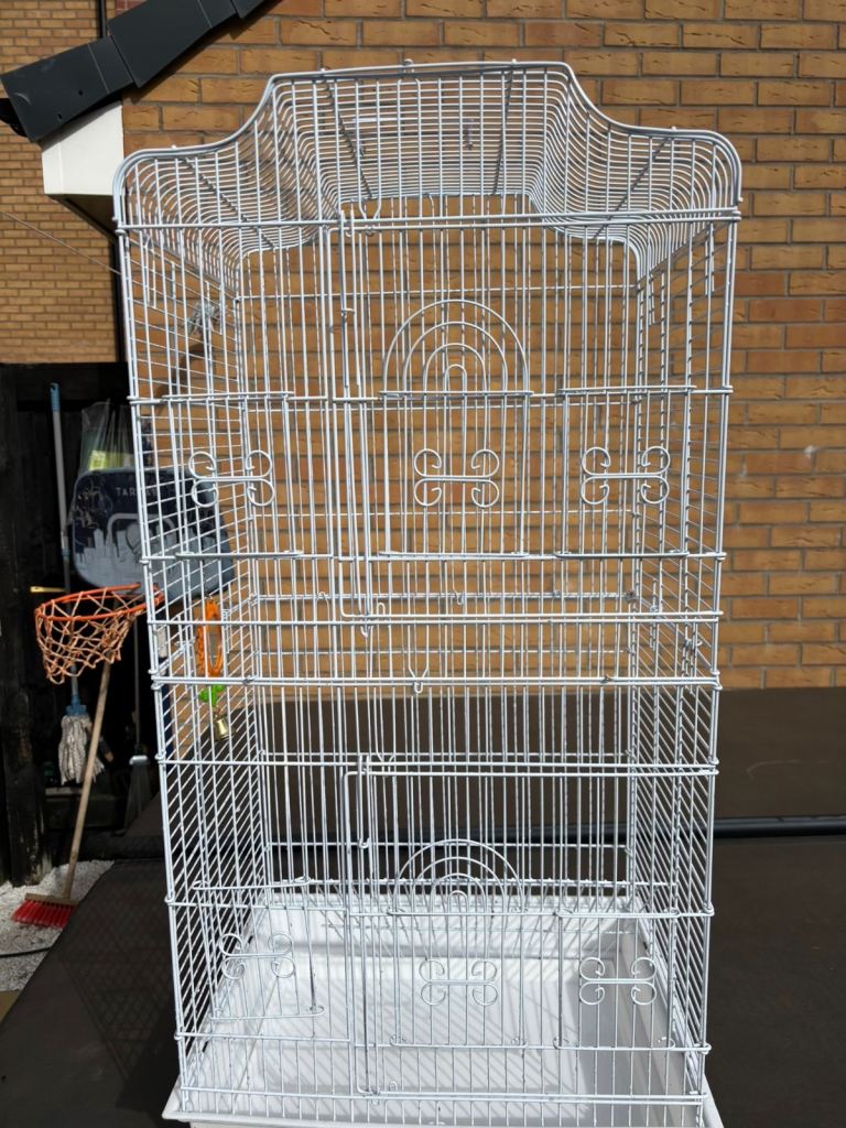 White Bird Cage 