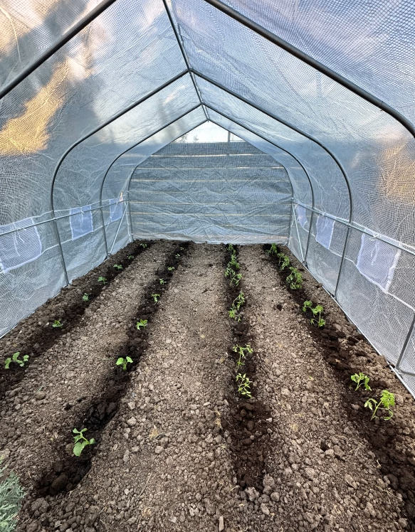 Large Heavy-Duty Steel Frame Polytunnel Greenhouse Garden Shed