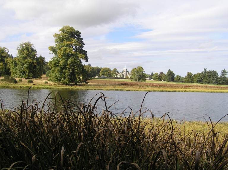 WANTED   WANTED     RATTAN CANE OR WICKER CHEST OF DRAWERS WITH BUN FEET, EX THE PIER