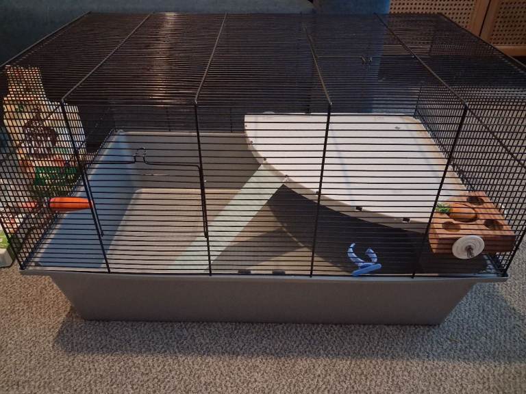 Hamster Cage and Accessories 
