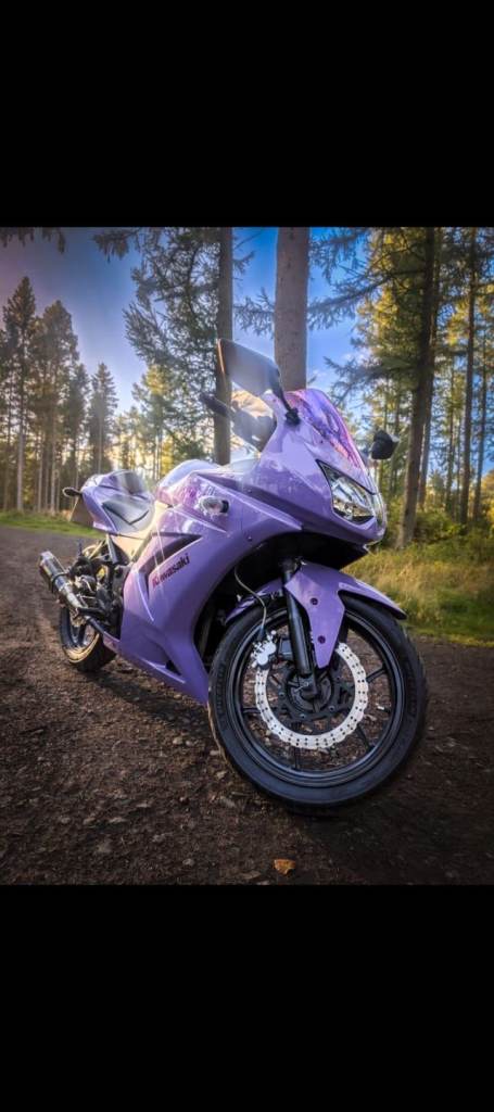 Kawasaki, Ninja 250, 2011, 249 (cc)