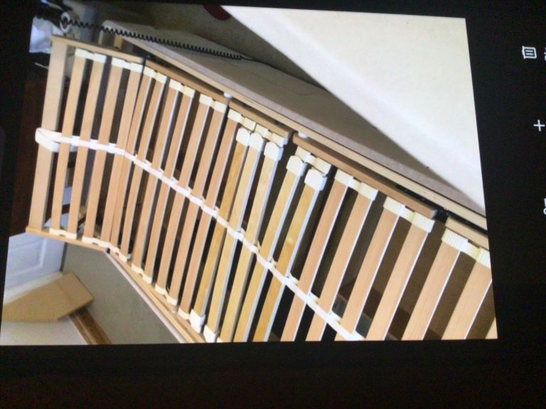 Riser recliner electric bed