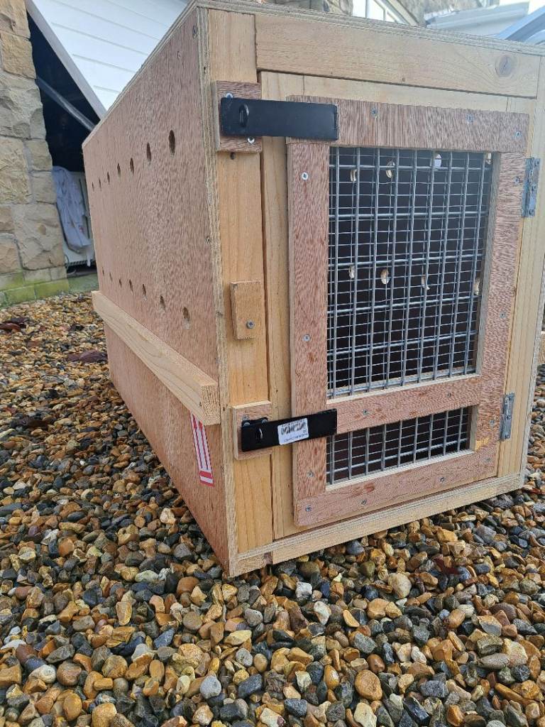 Air Transportable dog crate