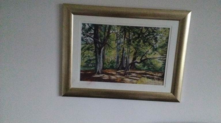 PICTURE of PARADISE WOODS 32 Inch x 24 1/2 Inch in FRAME