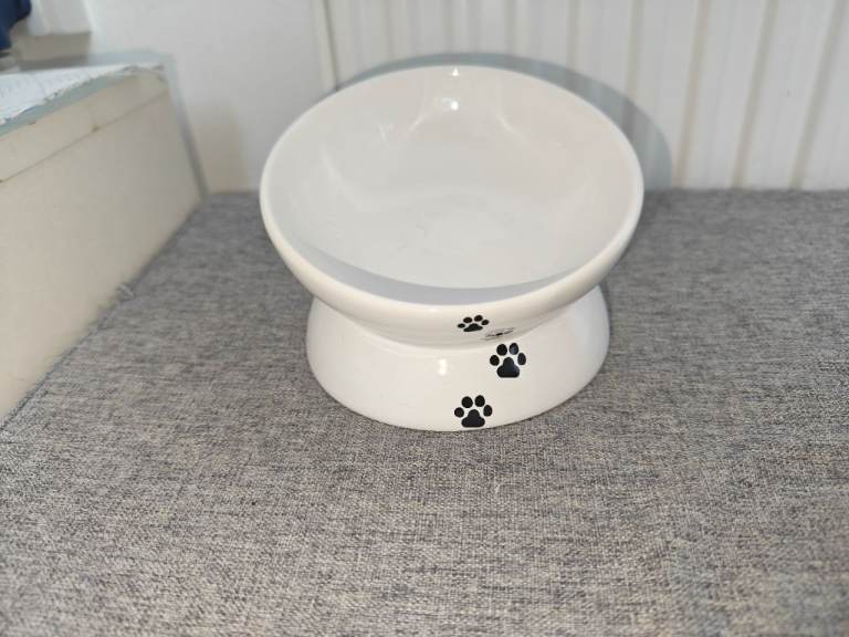 Tilted cat food bowls