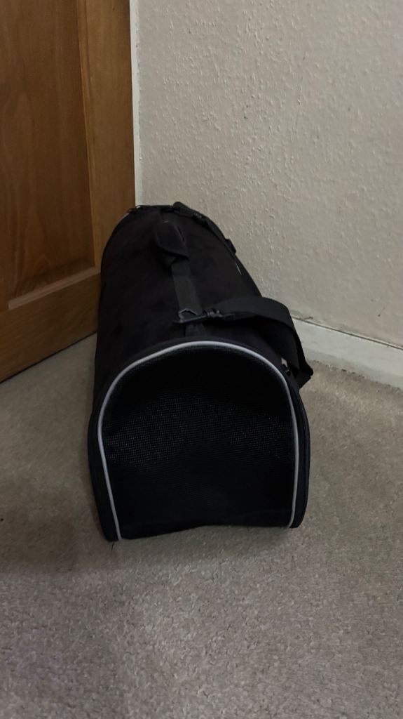 Small Pet Carrier With Carry Handle