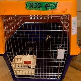 Flight Approved Pet Carrier (Collection TW2 6HS)