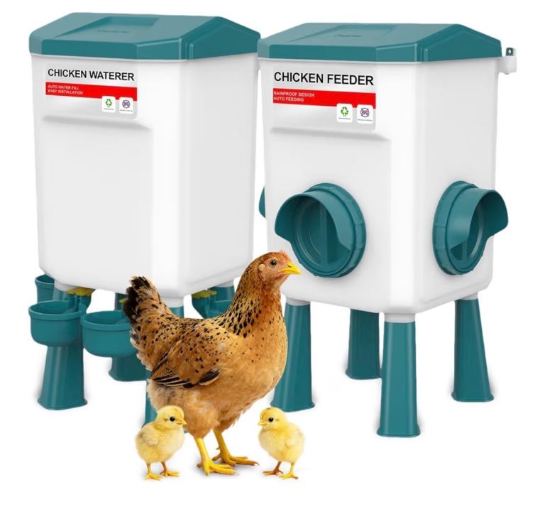 Chicken water & feeder