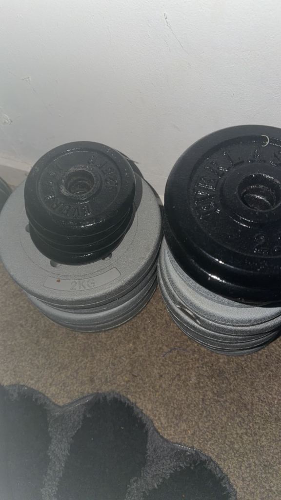 Everlast dumbells and 50kg iron plated weights+30kg plastic weights