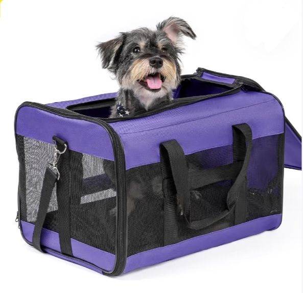 Pet carrier