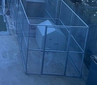 Dog pen 
