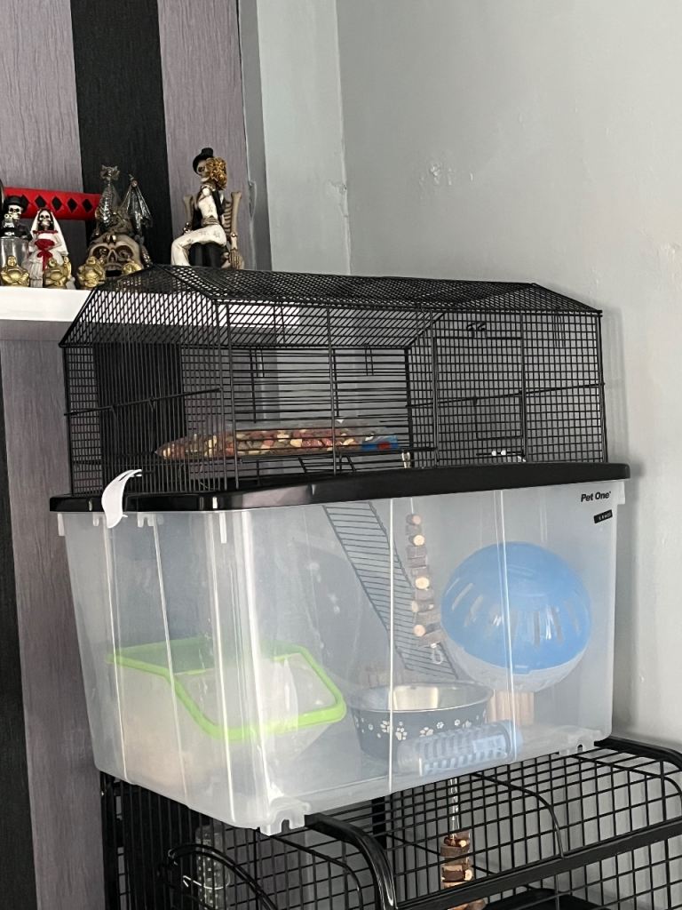 Gerbil cage 