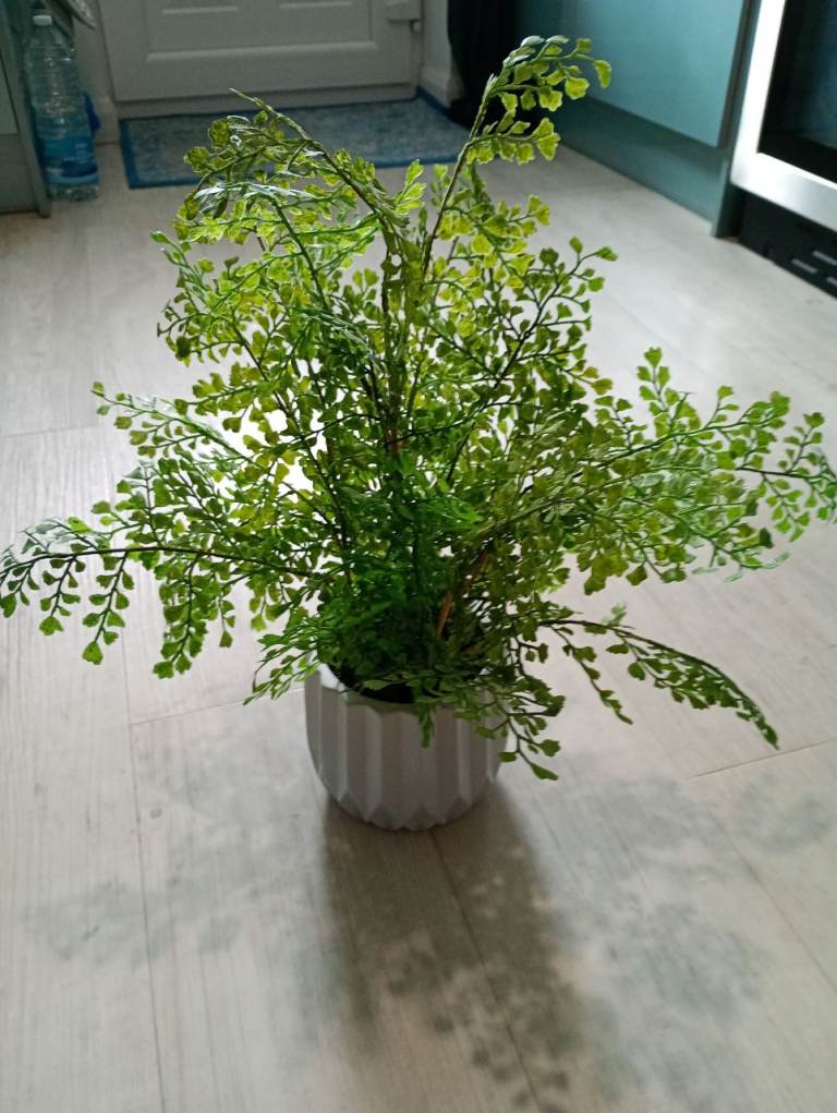 Faux fern in ceramic pot. 