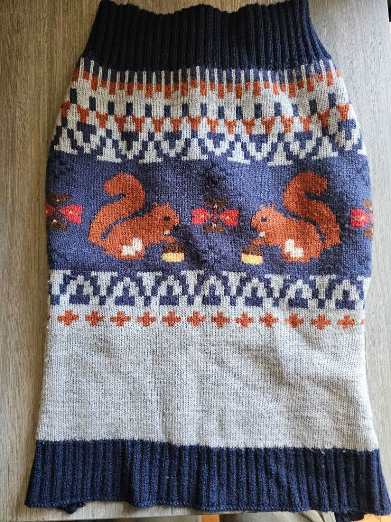FREE Dog Jumper