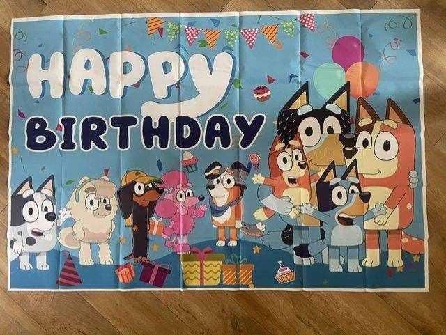 Bluey Birthday Backdrop