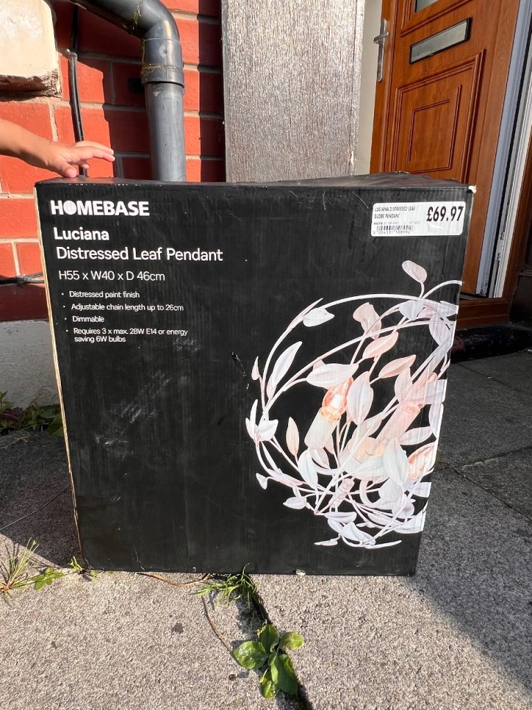 HOMEBASE Luciana Distressed Leaf Pendant Light – New in Box