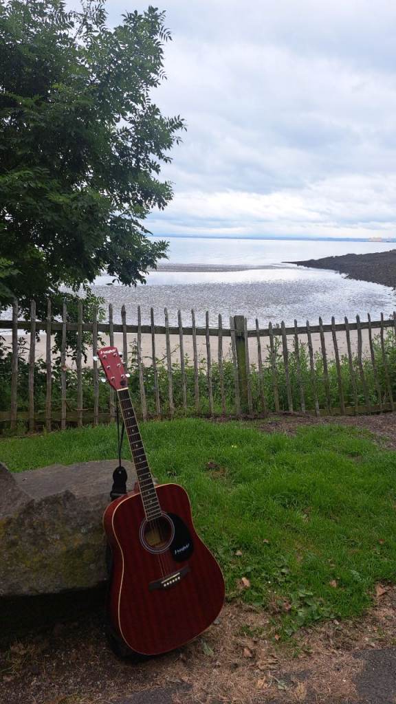 Guitar with bag