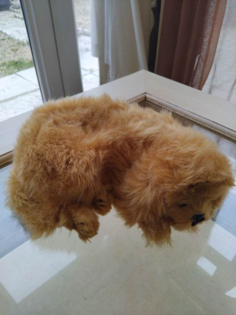£5.00 Precious petzzz breathing golden retriever pup
