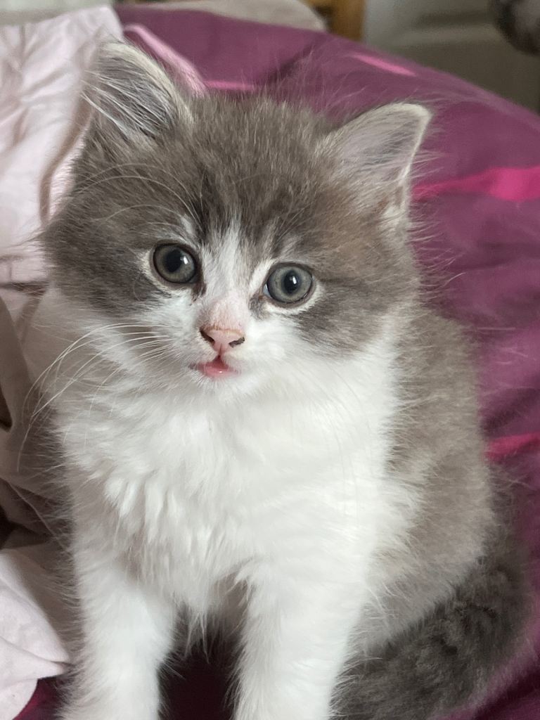 Looking for a new home