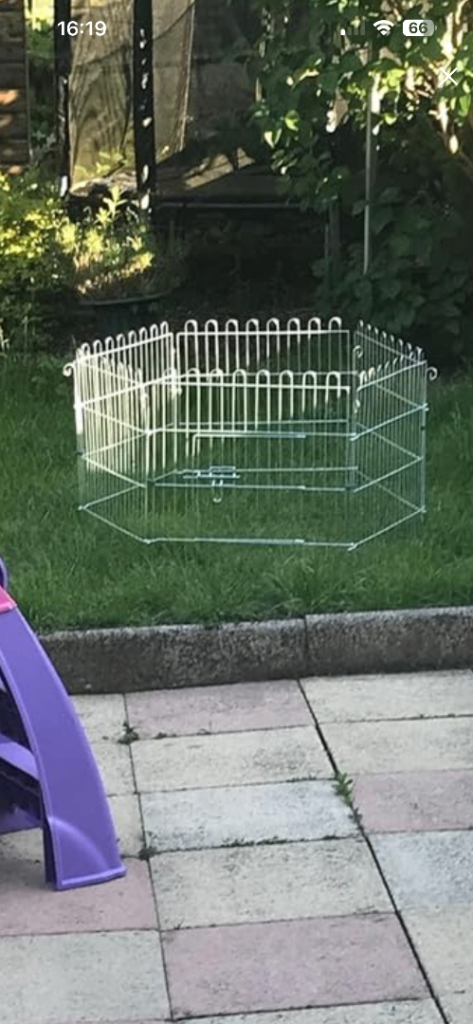 Cheap rabbit / guinea pig run with two bottles