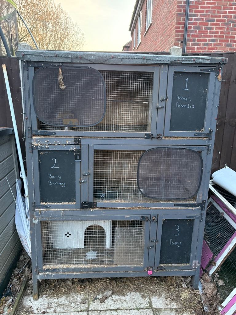 3 tier rabbit hutch