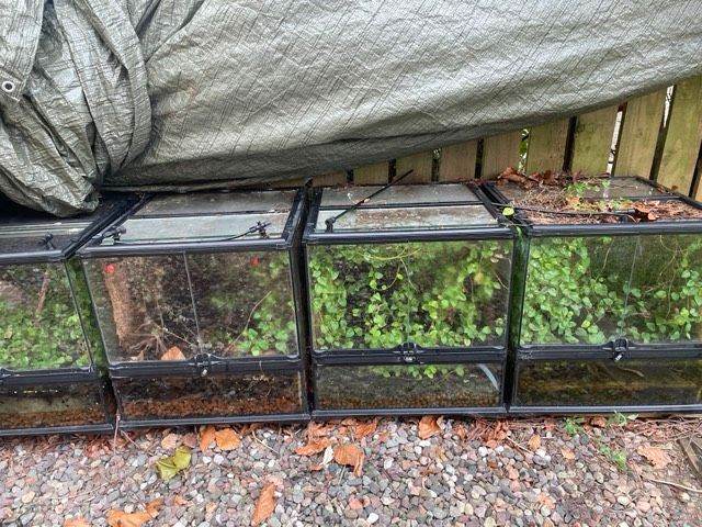 Exo Terra Natural Glass Terrarium Reptile Amphibian Enclosure 45x45x45cm