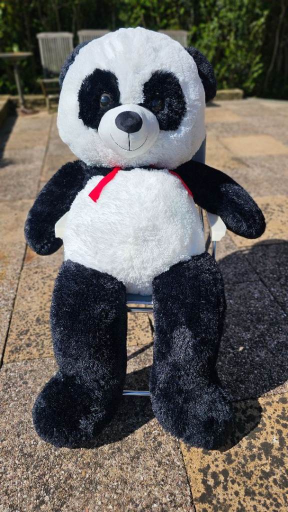 Giant Panda Bear 