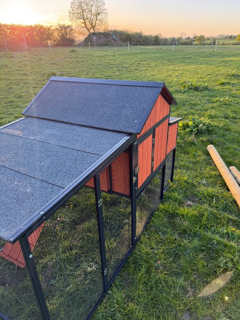 Chicken coop to house 5 chickens