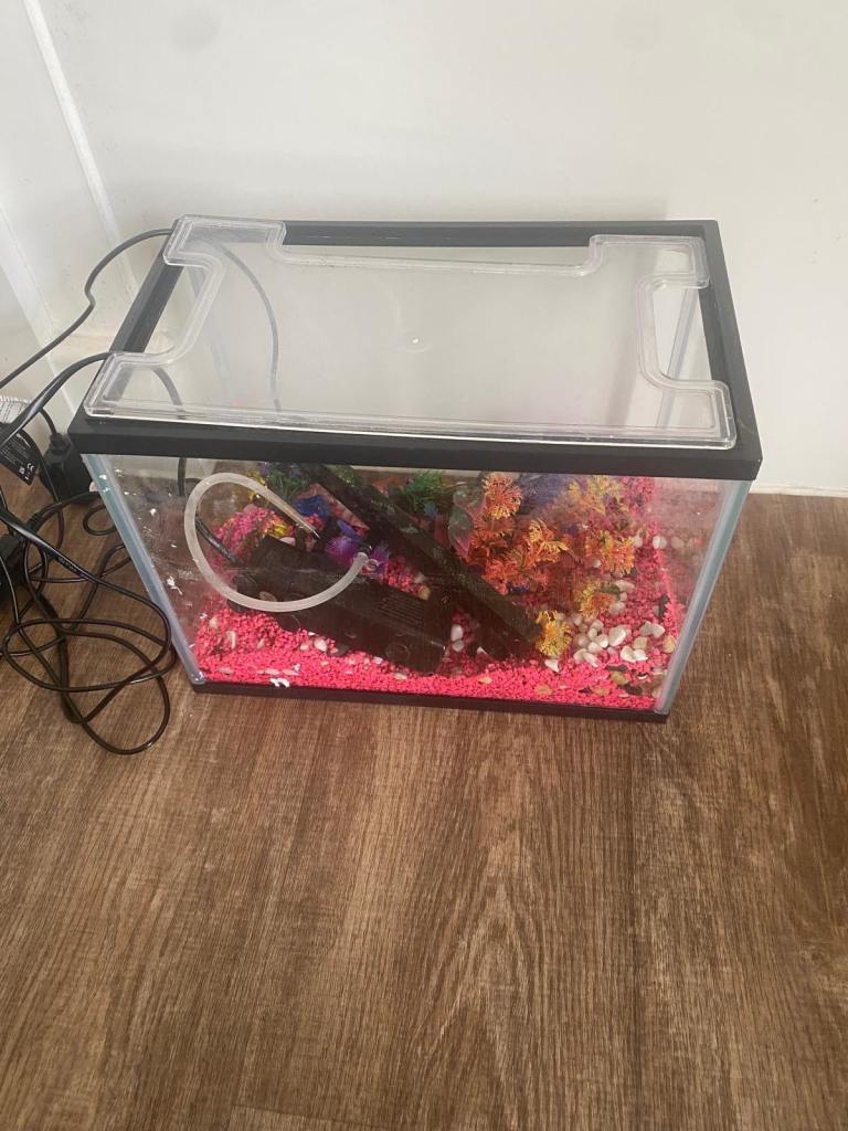 Medium sized aquarium and stones and pump and light 