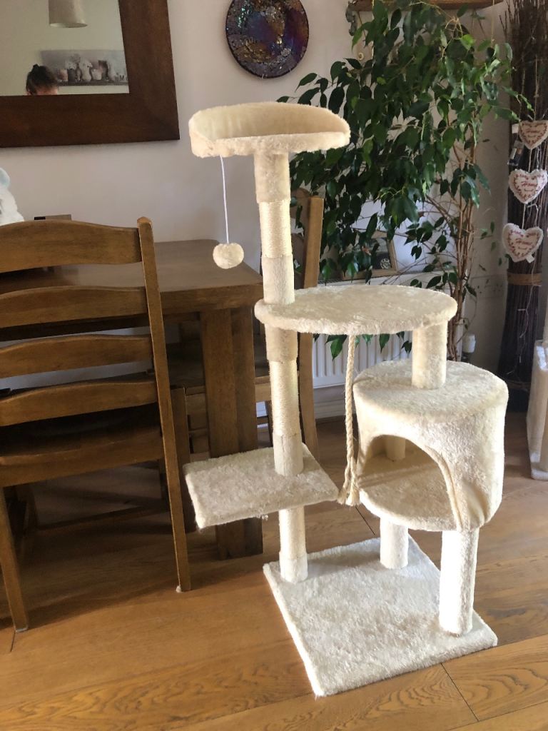 Cat scratch pole