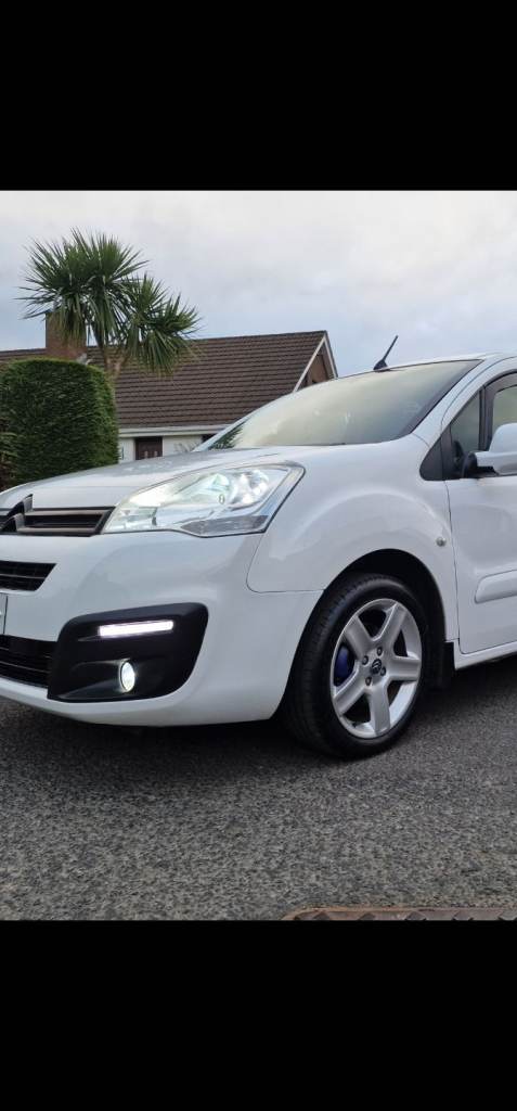 Citroen berlingo Peugeot partner  (LOOK PACK ) dri fogs and grills